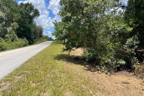 Land in Eustis, Florida № 2400376 - photo 10