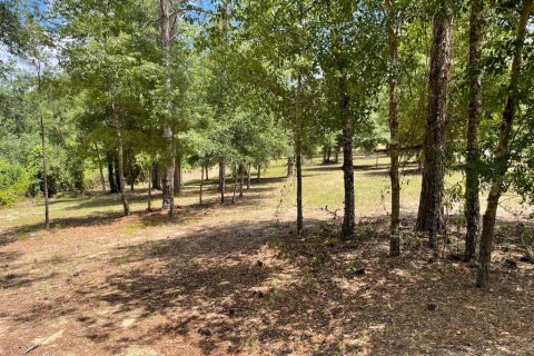 Land in Eustis, Florida № 2400376 - photo 7