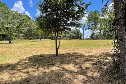 Land in Eustis, Florida № 2400376 - photo 3