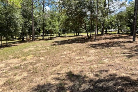 Land in Eustis, Florida № 2400376 - photo 4