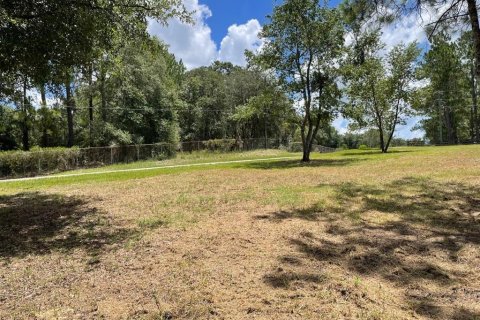 Land in Eustis, Florida № 2400376 - photo 8