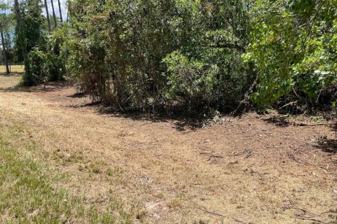 Land in Eustis, Florida № 2400376 - photo 5