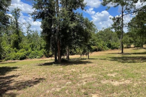 Land in Eustis, Florida № 2400376 - photo 9
