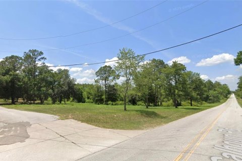 Land in Eustis, Florida № 2400376 - photo 11