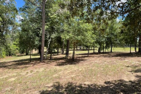 Land in Eustis, Florida № 2400376 - photo 6