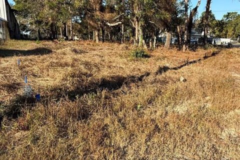 Terrain à Spring Hill, Floride № 2329138