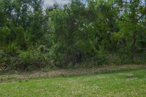 House in Parrish, Florida 3 bedrooms, 191.94 sq.m. № 2142685 - photo 25