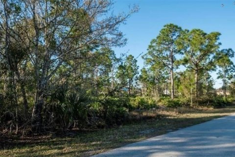 Land in Port Charlotte, Florida № 2158559
