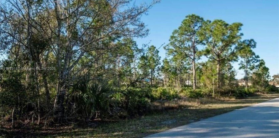 Land in Port Charlotte, Florida № 2158559