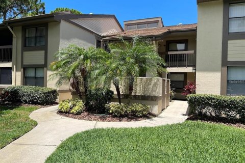 Condo in Oldsmar, Florida, 2 bedrooms  № 2235519