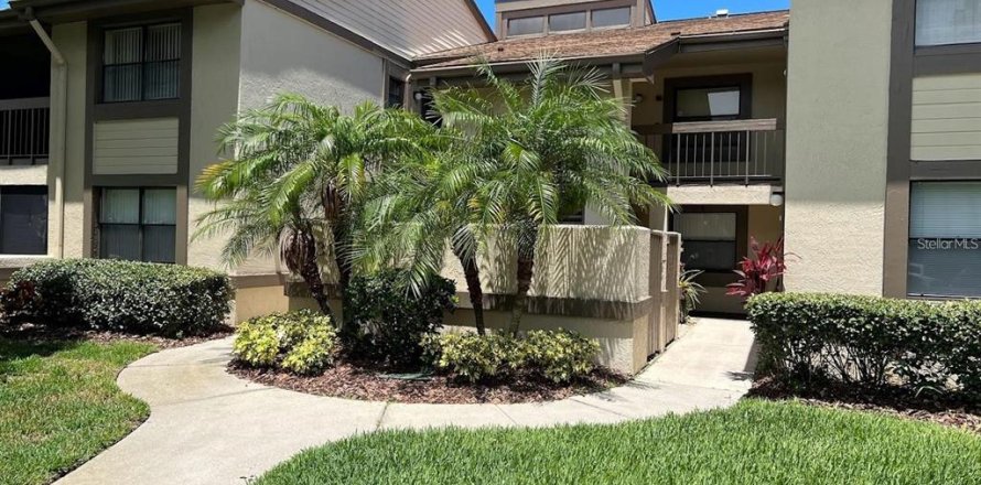 Condo in Oldsmar, Florida, 2 bedrooms  № 2235519