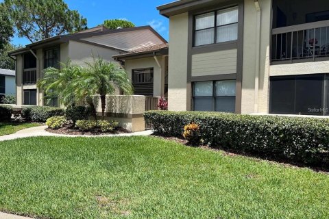 Condo in Oldsmar, Florida, 2 bedrooms  № 2235519 - photo 2