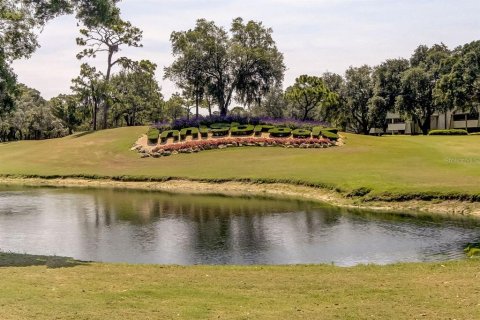 Condo in Palm Harbor, Florida, 2 bedrooms  № 1917728 - photo 28