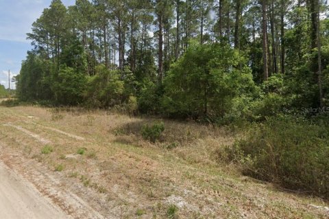 Terreno en venta en Georgetown, Florida № 2218599 - foto 4