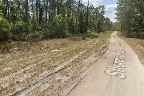 Terreno en venta en Georgetown, Florida № 2218599 - foto 5