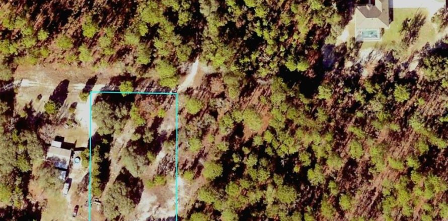Land in Dunnellon, Florida № 1884819