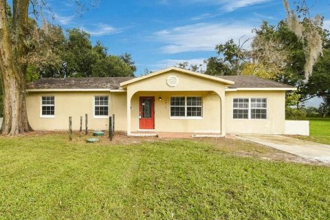 Villa ou maison à Mount Dora, Floride 3 chambres, 125.6 m2 № 2434558