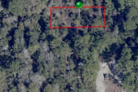 Land in Osteen, Florida № 2160771 - photo 2