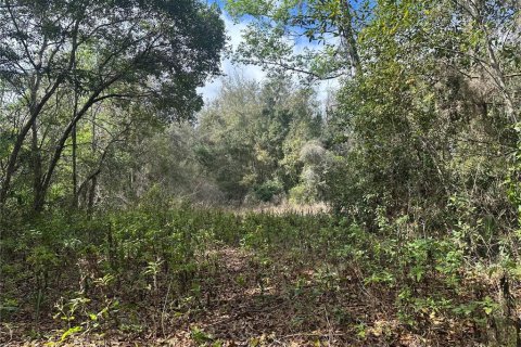 Land in Lady Lake, Florida № 1833625 - photo 5