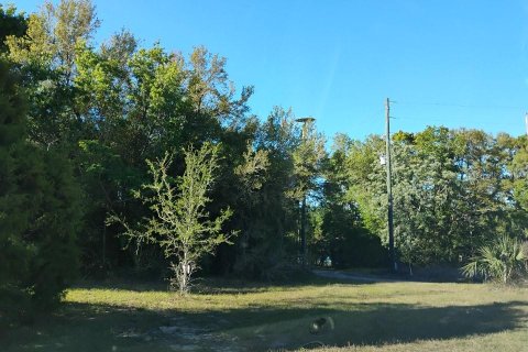 Land in Lady Lake, Florida № 1833625 - photo 14