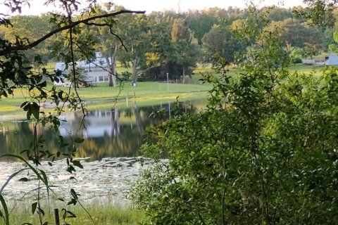 Land in Lady Lake, Florida № 1833625 - photo 15