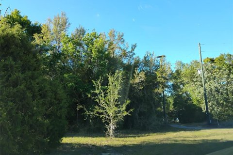 Land in Lady Lake, Florida № 1833625 - photo 20