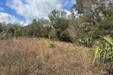 Land in Lady Lake, Florida № 1833625 - photo 21