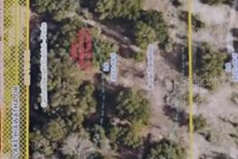 Land in Lady Lake, Florida № 1833625 - photo 9