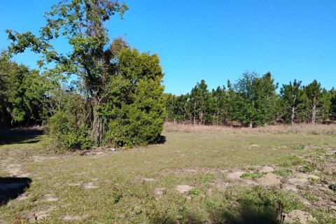Land in Lady Lake, Florida № 1833625 - photo 13
