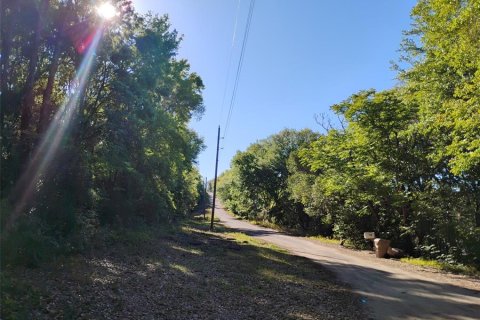Land in Lady Lake, Florida № 1833625 - photo 19
