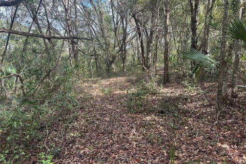 Land in Lady Lake, Florida № 1833625 - photo 6