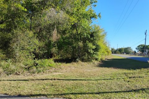 Land in Lady Lake, Florida № 1833625 - photo 18