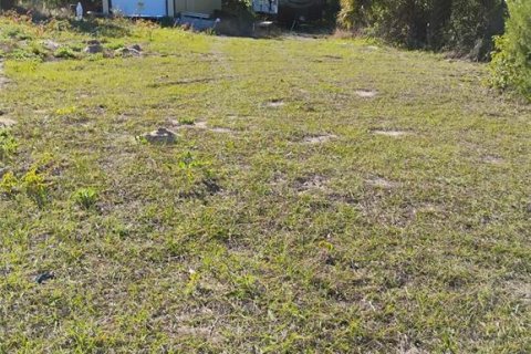Land in Lady Lake, Florida № 1833625 - photo 17