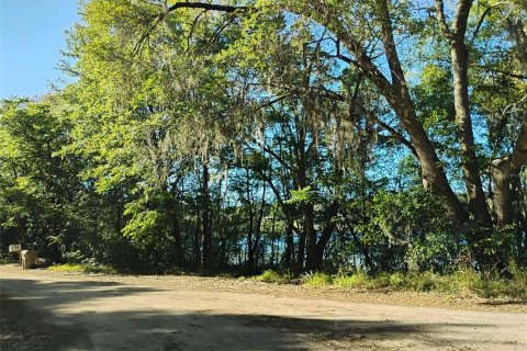 Land in Lady Lake, Florida № 1833625 - photo 16
