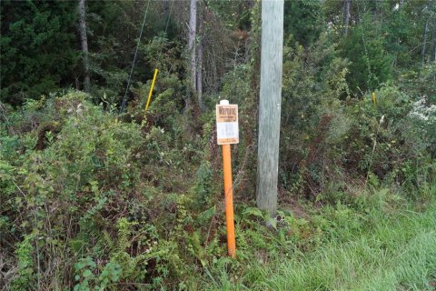 Terreno en venta en Macclenny, Florida № 1559378 - foto 30