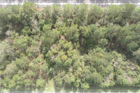 Terreno en venta en Macclenny, Florida № 1559378 - foto 24