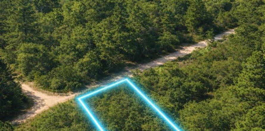 Land in Ocala, Florida № 2163386