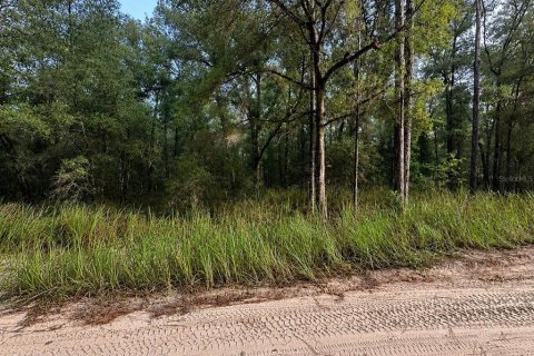 Land in Ocala, Florida № 2163386 - photo 5