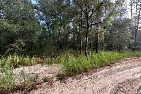 Land in Ocala, Florida № 2163386 - photo 4