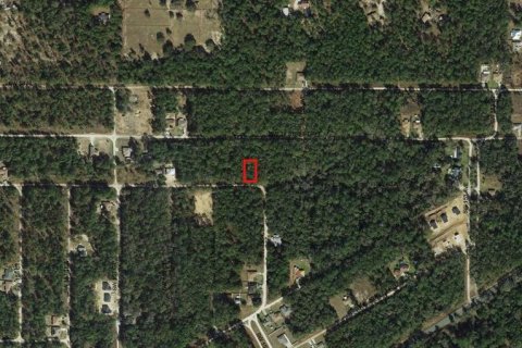 Land in Ocala, Florida № 2163386 - photo 6