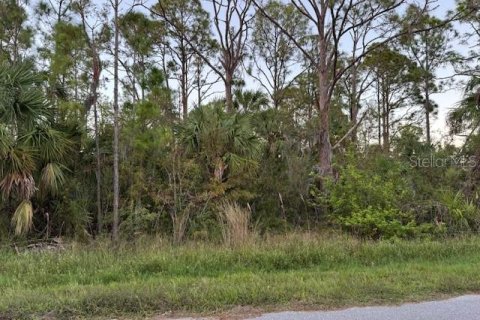 Terreno en Port Charlotte, Florida № 2196365