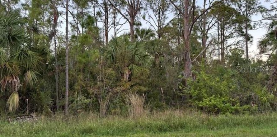 Land in Port Charlotte, Florida № 2196365