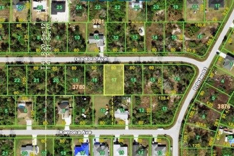 Land in Port Charlotte, Florida № 2162583