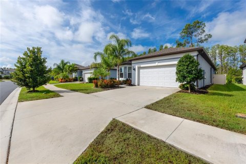 House in Land O' Lakes, Florida 3 bedrooms, 209.87 sq.m. № 1886387 - photo 4