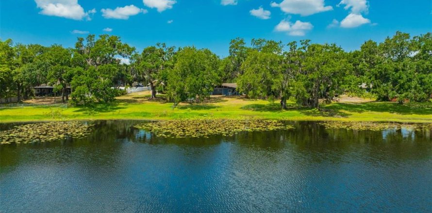 Casa en Brandon, Florida 3 dormitorios, 216.18 m2 № 1743322