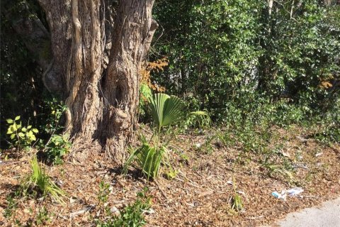 Land in DeLand, Florida № 2161865 - photo 2