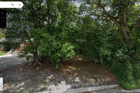 Land in DeLand, Florida № 2161865 - photo 3