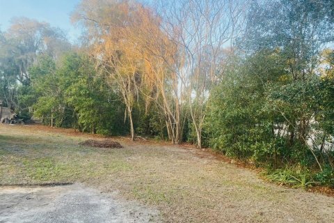 Land in DeLand, Florida № 2161865