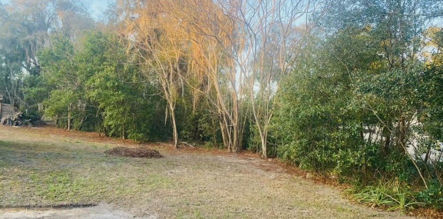 Land in DeLand, Florida № 2161865