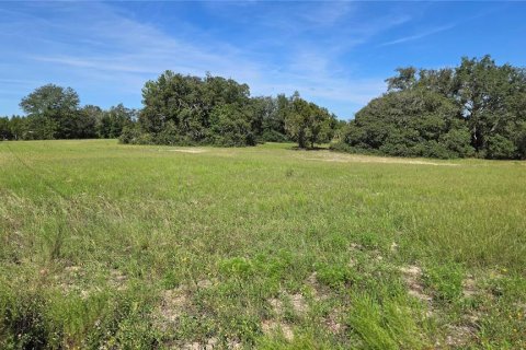 Land in Homosassa, Florida № 2388139 - photo 2
